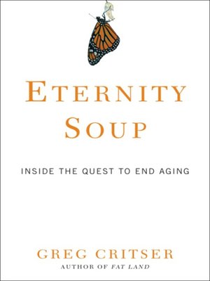 Eternity Soup - ebook